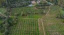 Villa in Esporles in the Tramuntana mountain