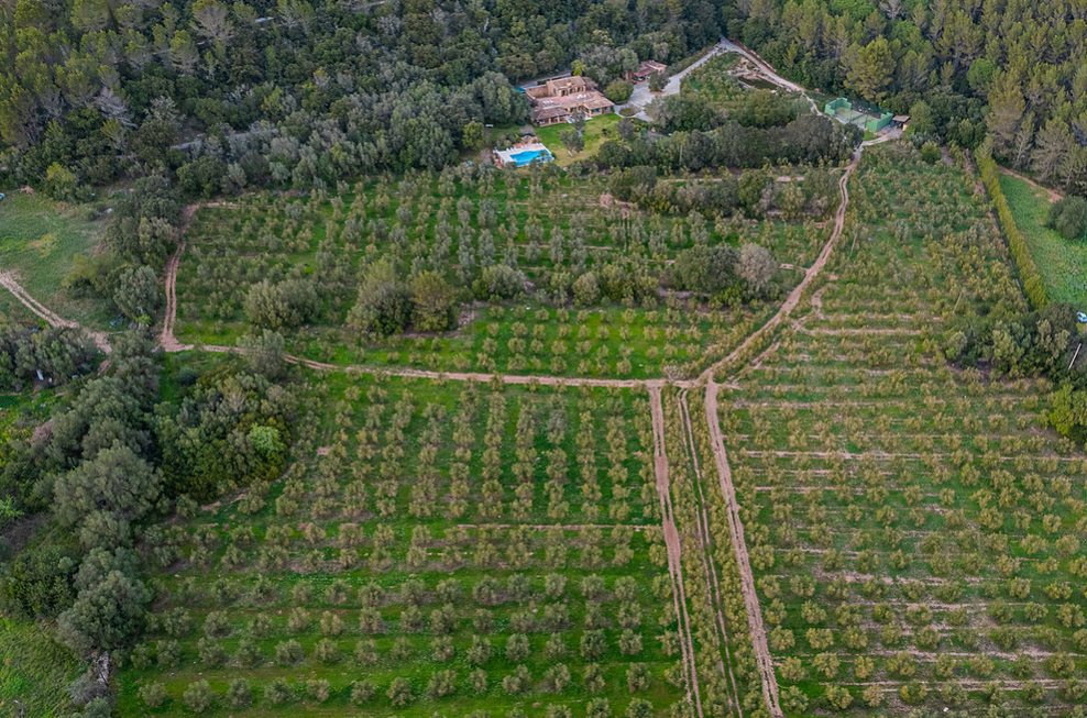 Villa in Esporles in the Tramuntana mountain