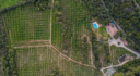Villa in Esporles in the Tramuntana mountain