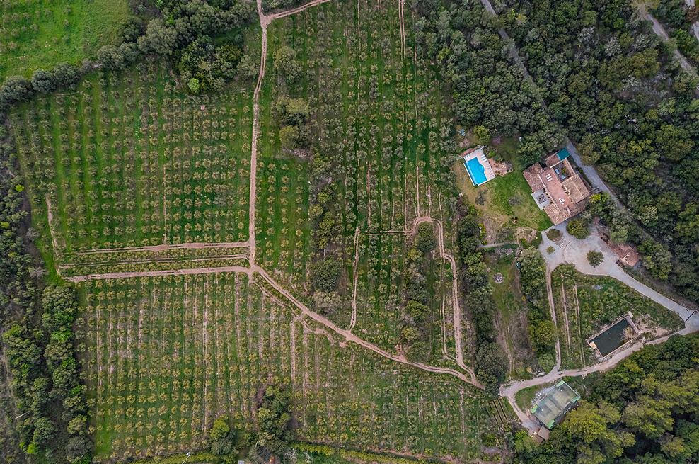 Villa in Esporles in the Tramuntana mountain