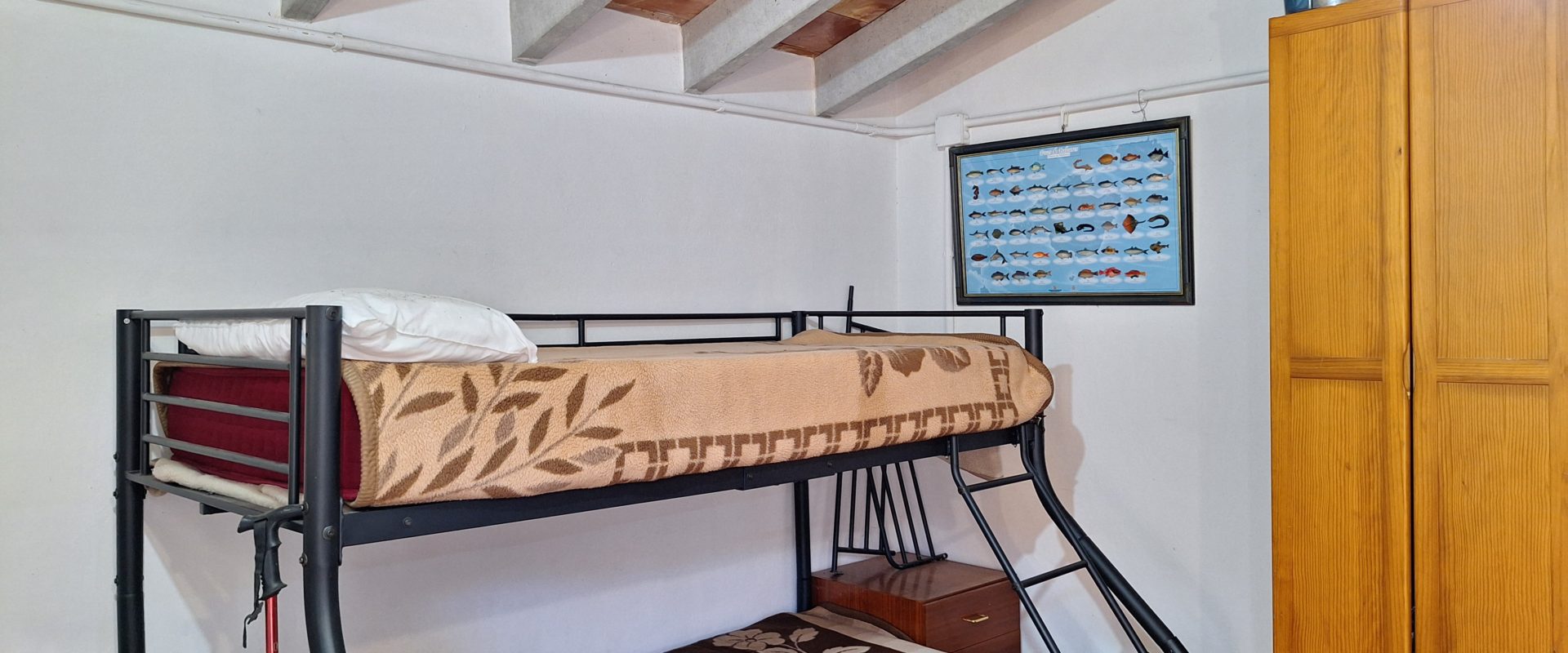 Rustic house with pool just 15 minutes from Palma