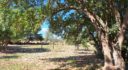 Rustic house with pool just 15 minutes from Palma