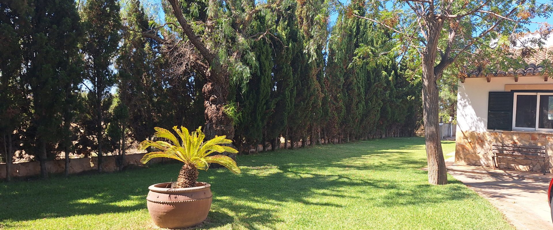 Rustic house with pool just 15 minutes from Palma