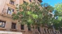 Apartament in the old center of Palma