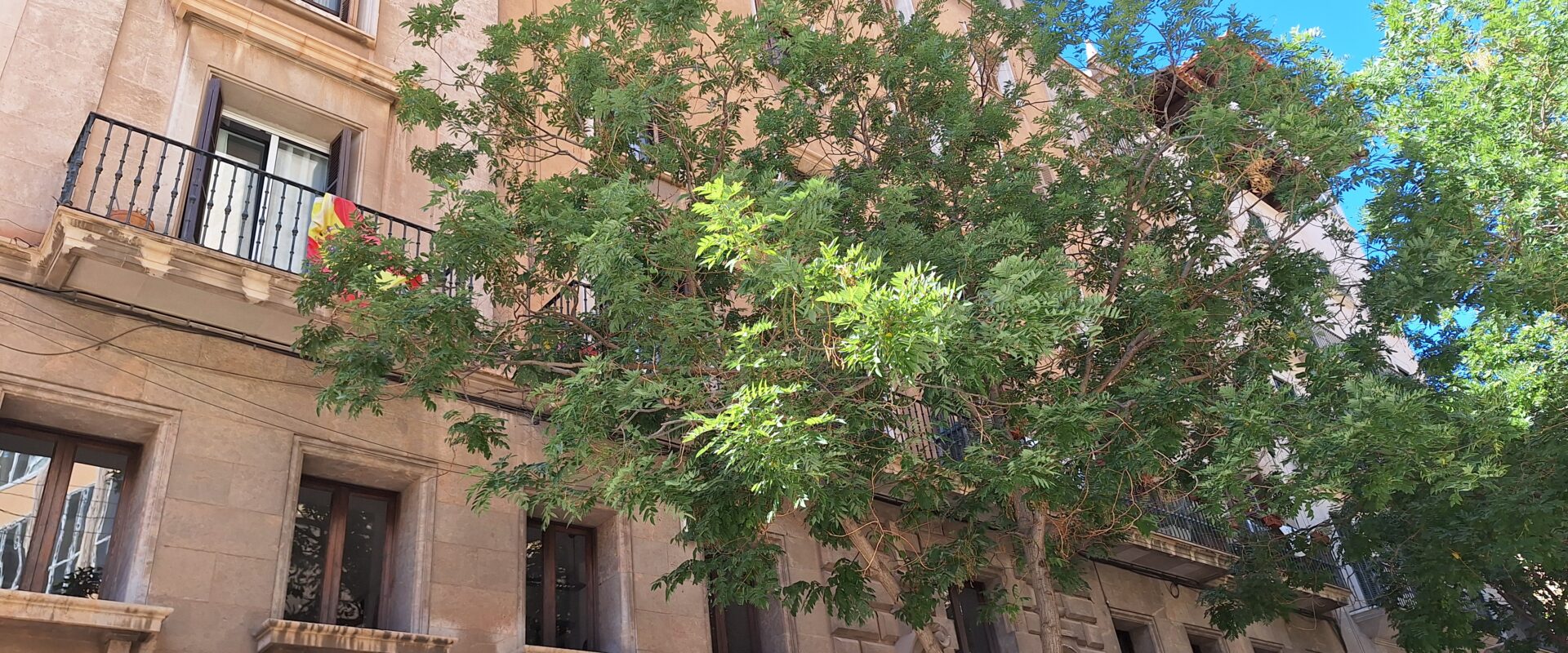 Apartament in the old center of Palma