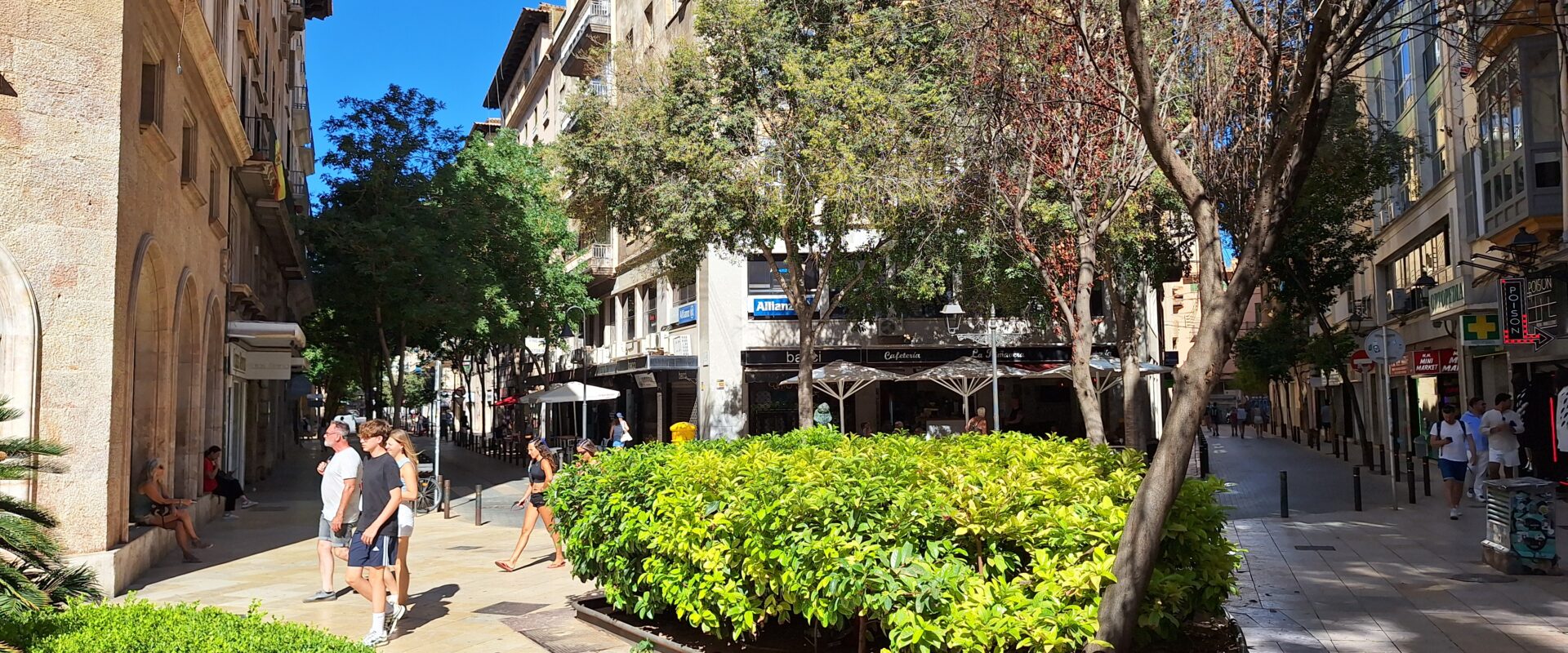Apartament in the old center of Palma