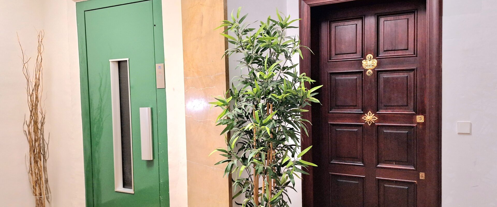 Apartament in mercado de L Olivar