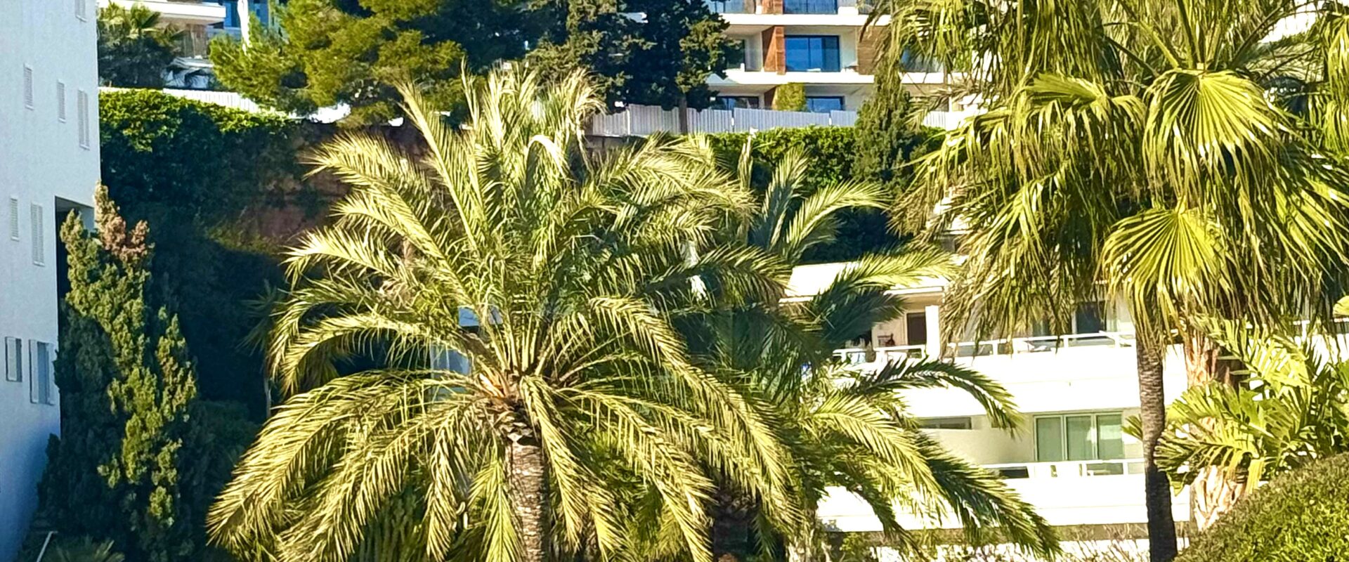Apartment with  sea views on the first line in Portals
