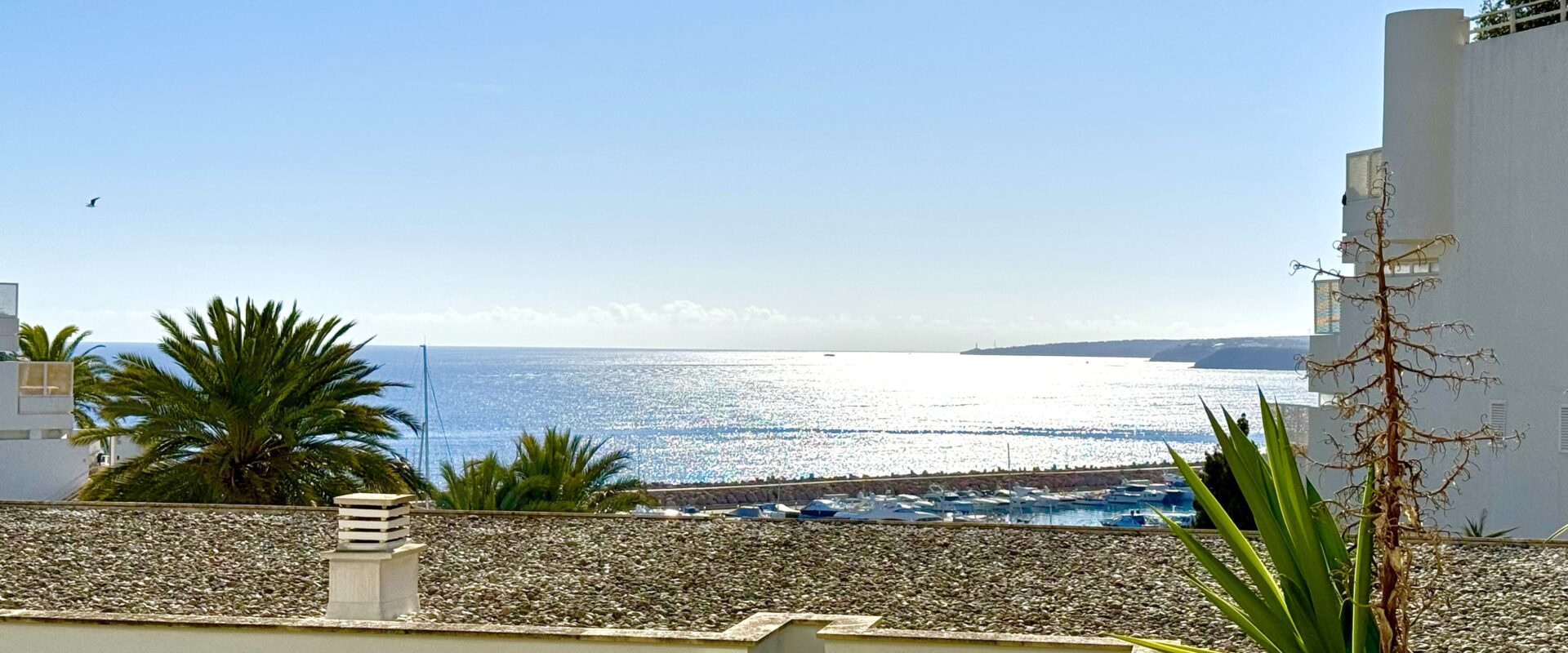 Apartment with  sea views on the first line in Portals