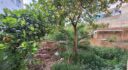 Ground Floor Property with Garden and Pool to Renovate in Son Espanyolet