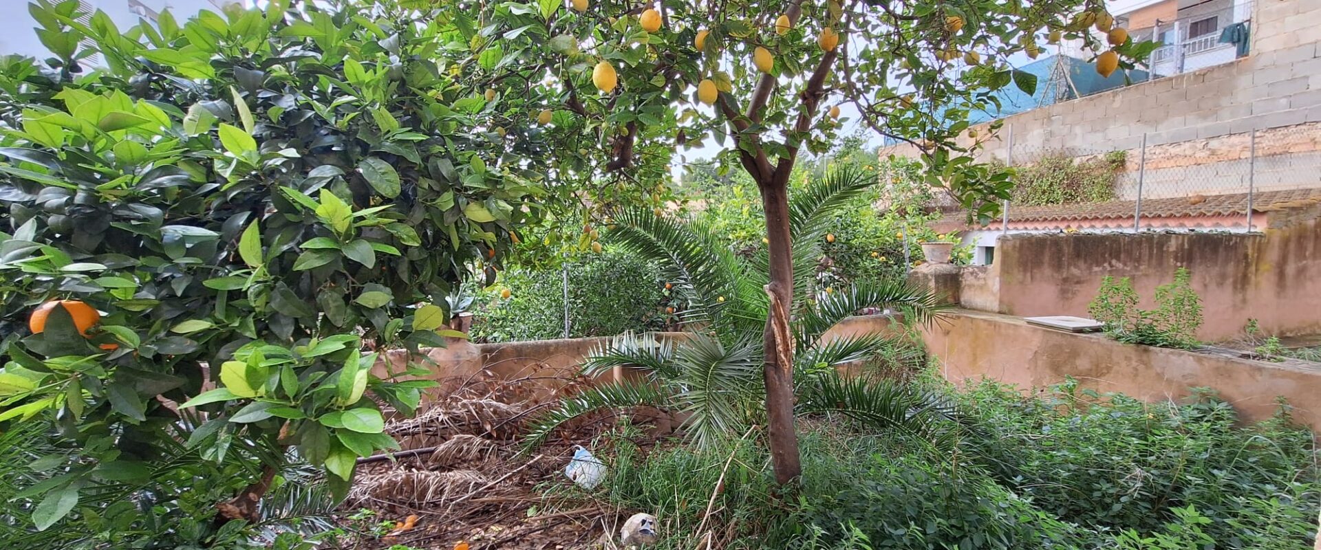 Ground Floor Property with Garden and Pool to Renovate in Son Espanyolet